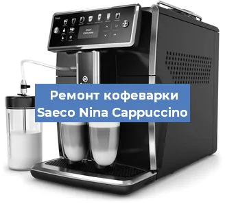 Чистка кофемашины Saeco Nina Cappuccino от кофейных масел в Красноярске